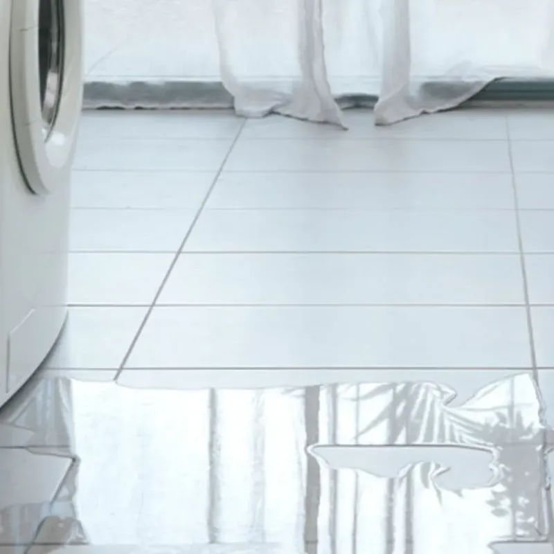 Appliance Leak Cleanup in Anson, TX