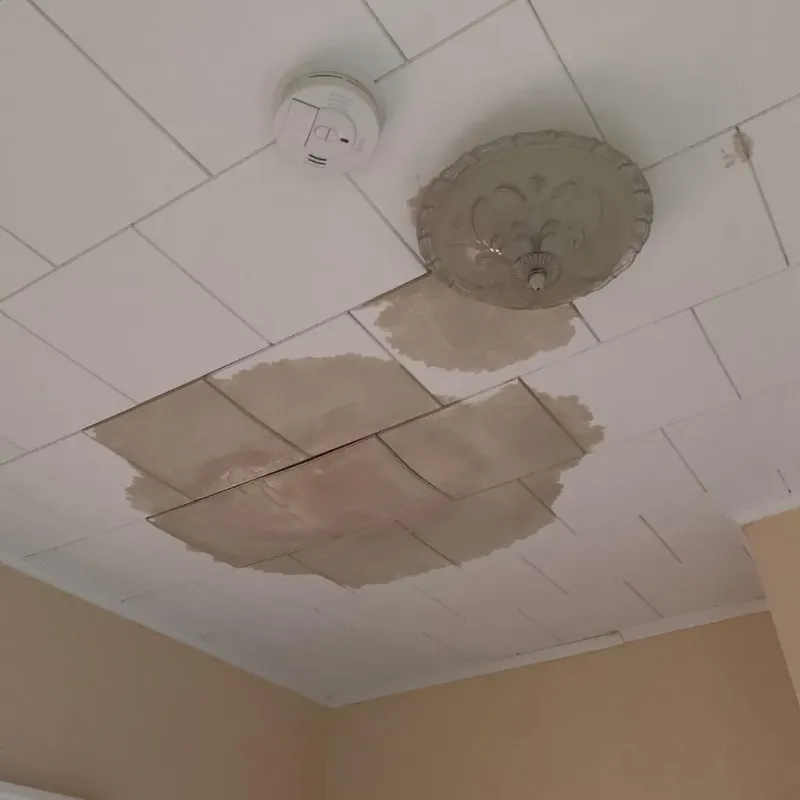 Ceiling Water Damage Repair in Anson, TX