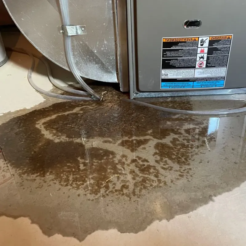 Pipe Burst and Leak Restoration in Anson, TX