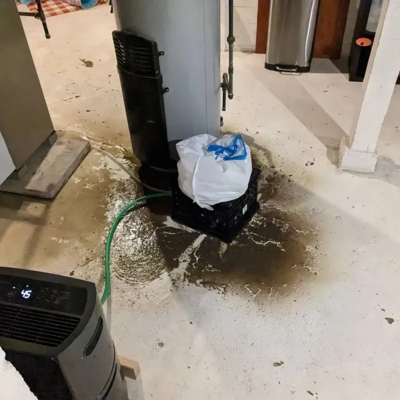 Sewage Backup Cleanup Service in Anson, TX